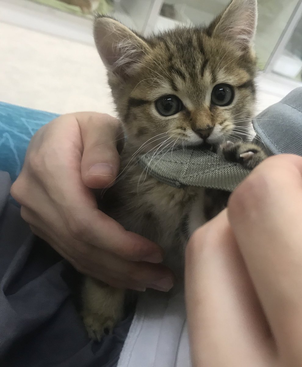 👈3ヶ月 9歳半👉