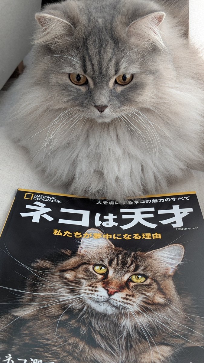 書籍備忘録deepblue3141592 #ネコ🐈