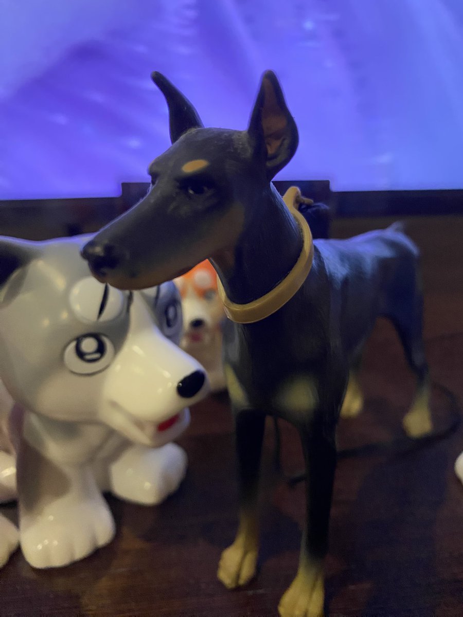 先週と今週がレア‼︎九州‼︎ 銀牙以来なのではないだろうか？ WEED