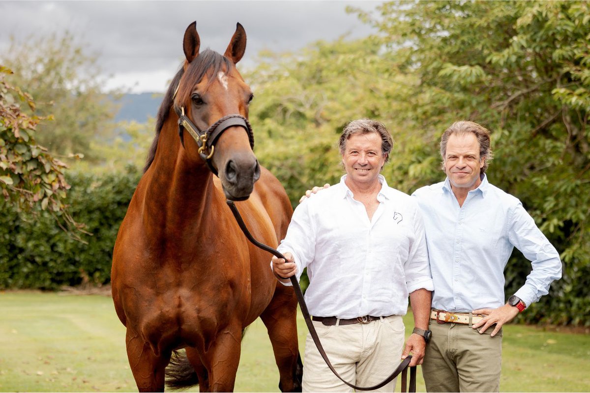 豪クールモアが、ニュージーランドから種牡馬を購入❣スーパーセスは