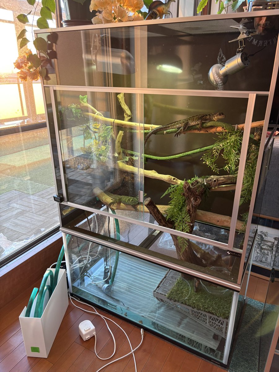 かなり遅くなりましたが 昨年末に配達でのお引渡しのお客様で 今迄にご