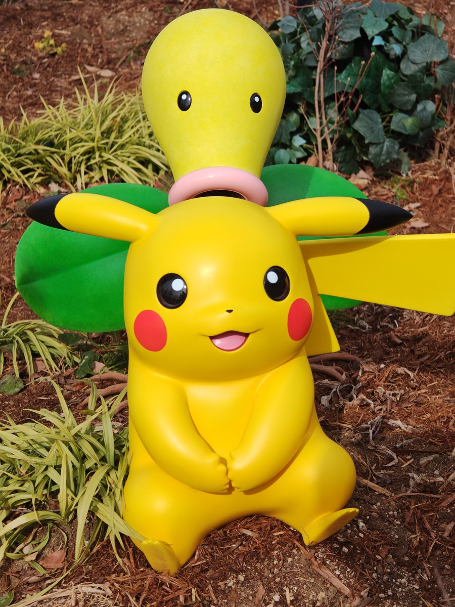 頭を吸われるピカチュウ #ポケパーク