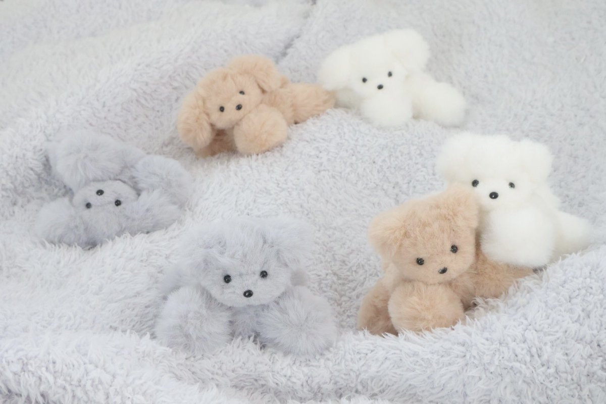 shiroi maru -しろい まる-❄️ぽんぽんとぬいぐるみ (@shiroi_maruii