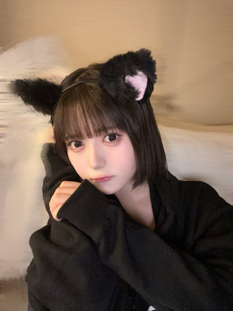 猫の日ACEちゃんもかわいい𐅁𐀸𐋠𛰙᭜ ᭜っ ≡ ♡