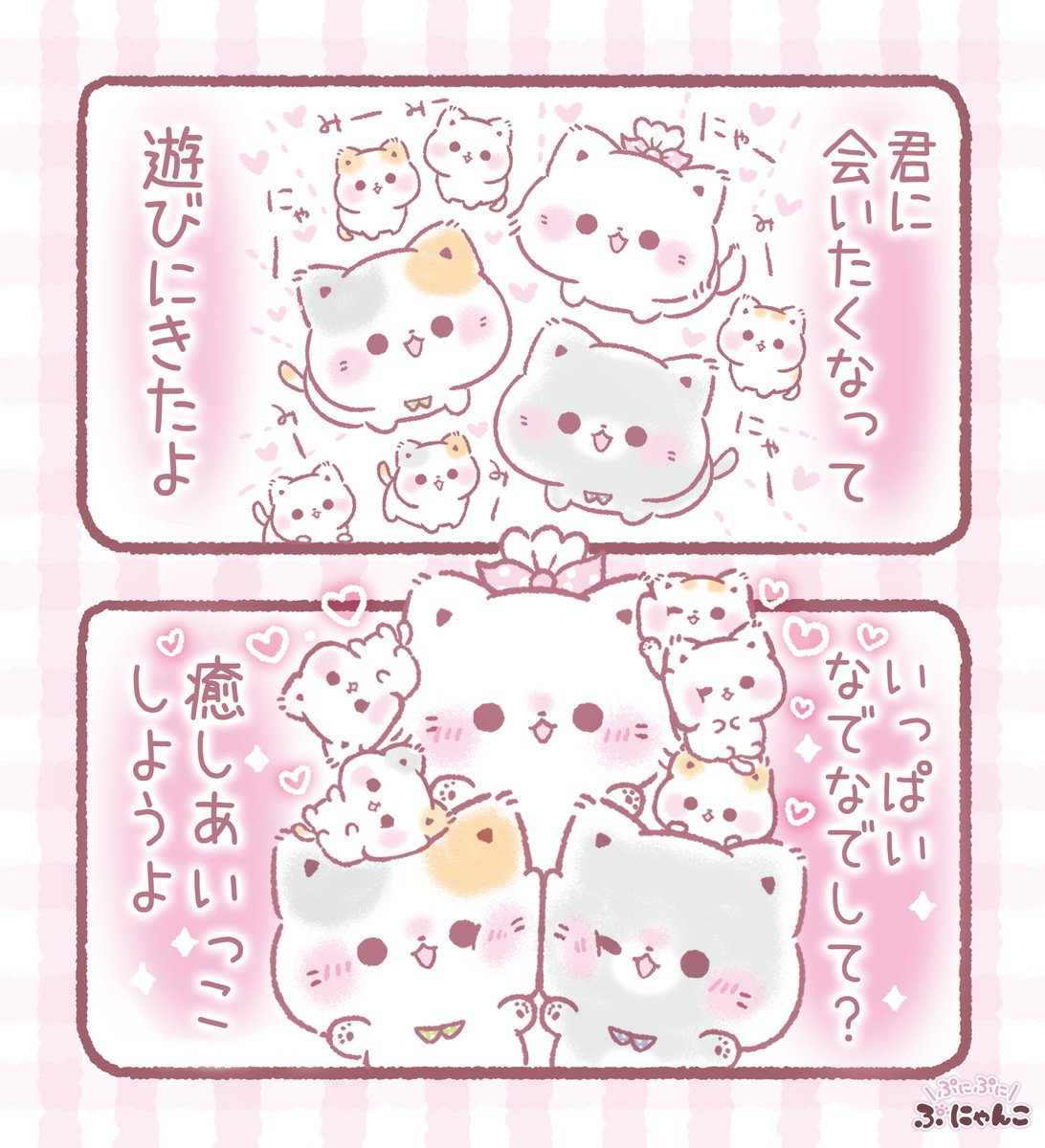 癒しあいっこしようよฅ^•ω•^ฅ💕 #猫の日 #猫の日2026 #にゃん