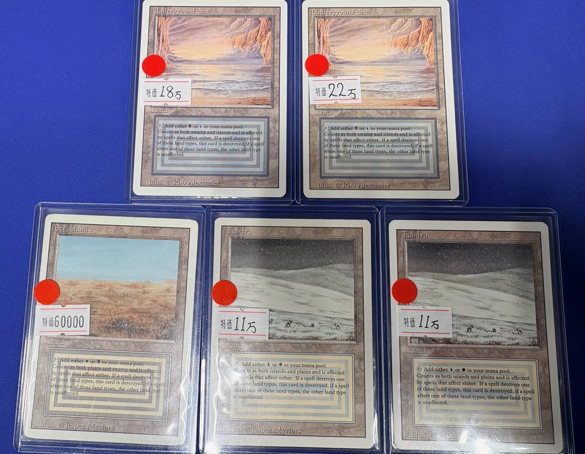 MTG担当よりお知らせ】 ✨✨Underground Sea ✨✨ ✨✨Tundra