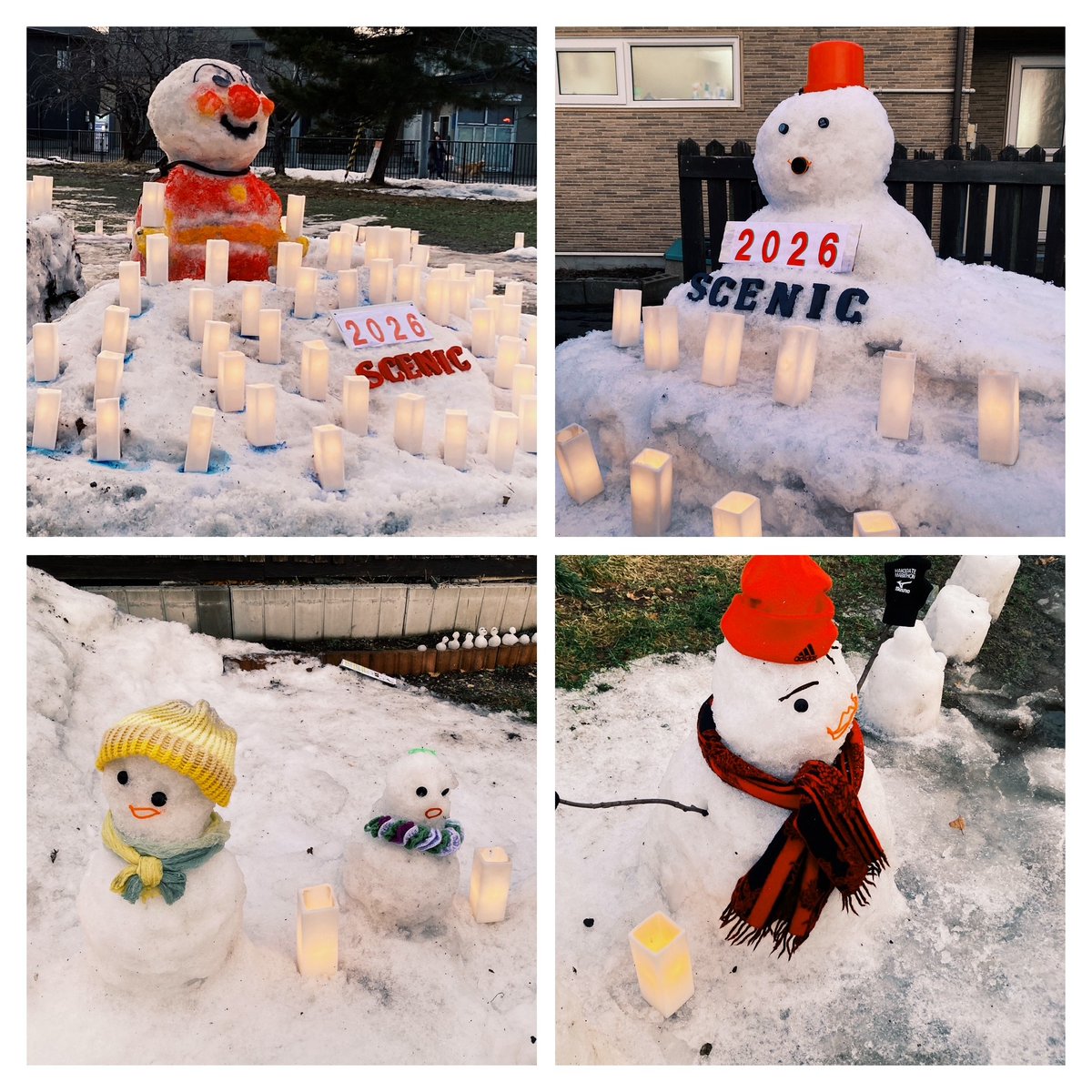 シーニックdeナイト2026】 #亀田八幡宮 でシーニックdeナイトが開催