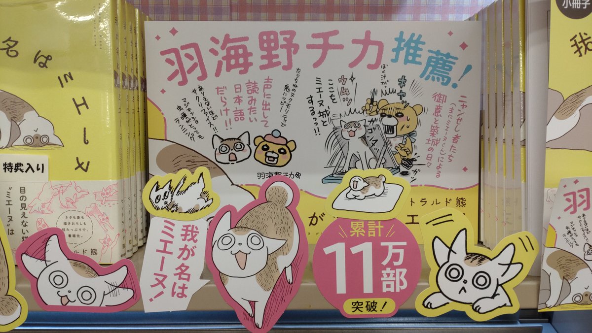 明日2/22は🐱ねこの日ですね！ 只今、当店で ＃朝日新聞出版