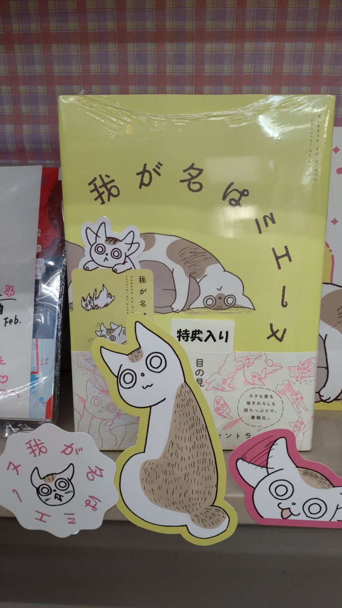 明日2/22は🐱ねこの日ですね！ 只今、当店で ＃朝日新聞出版