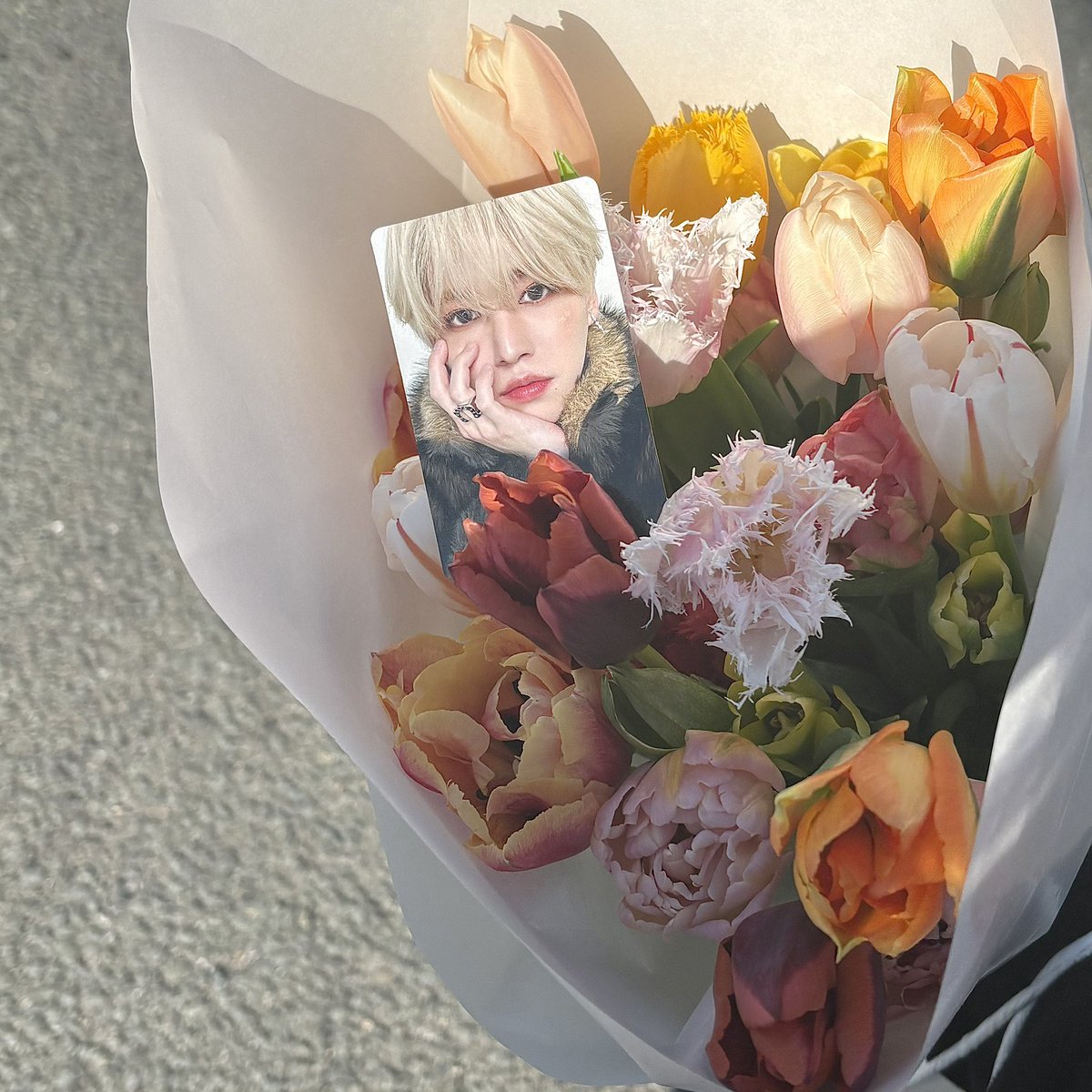 白岩瑠姫と植物のいる暮らし - spring 🌷