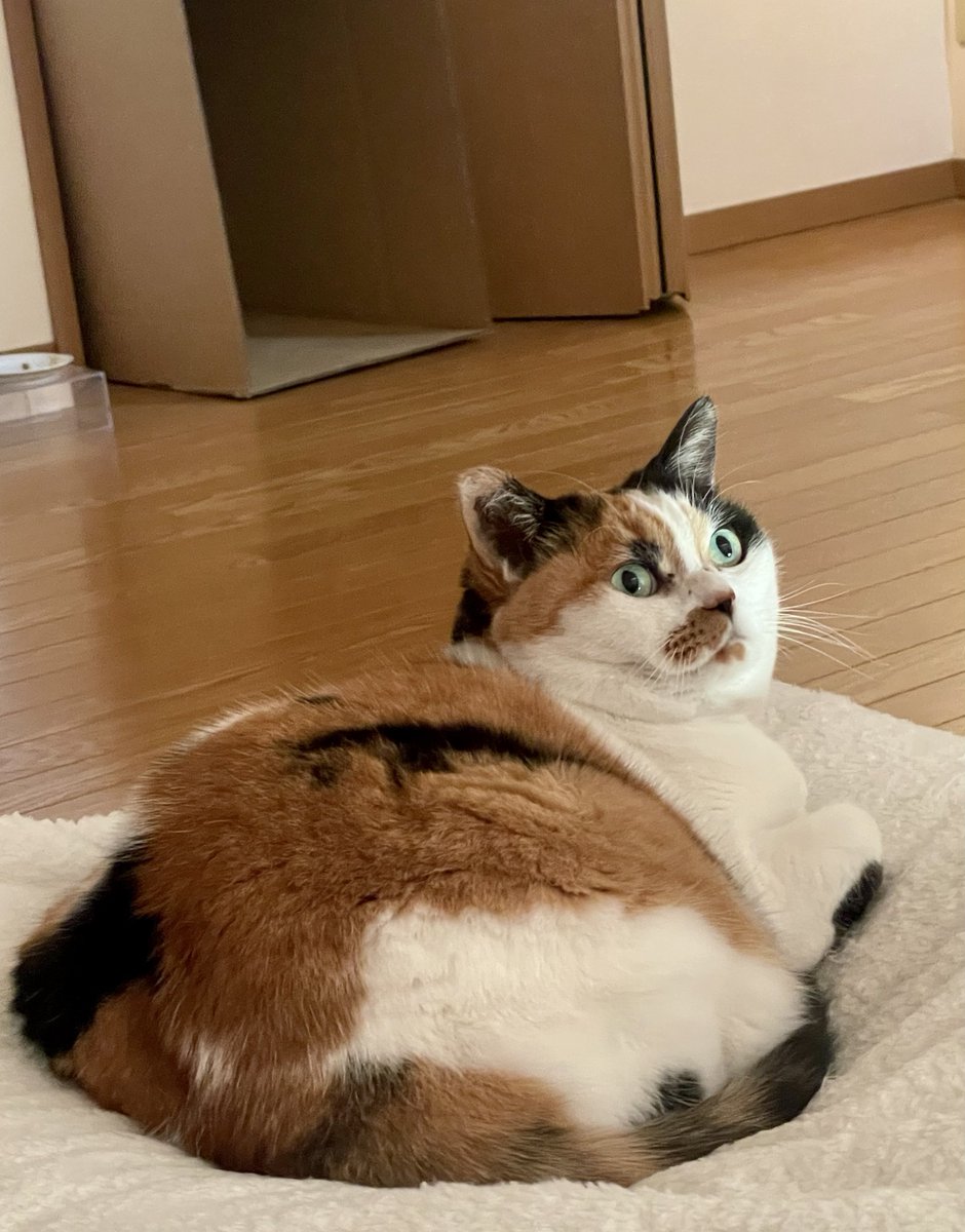 自由に 楽しく 健やかに……