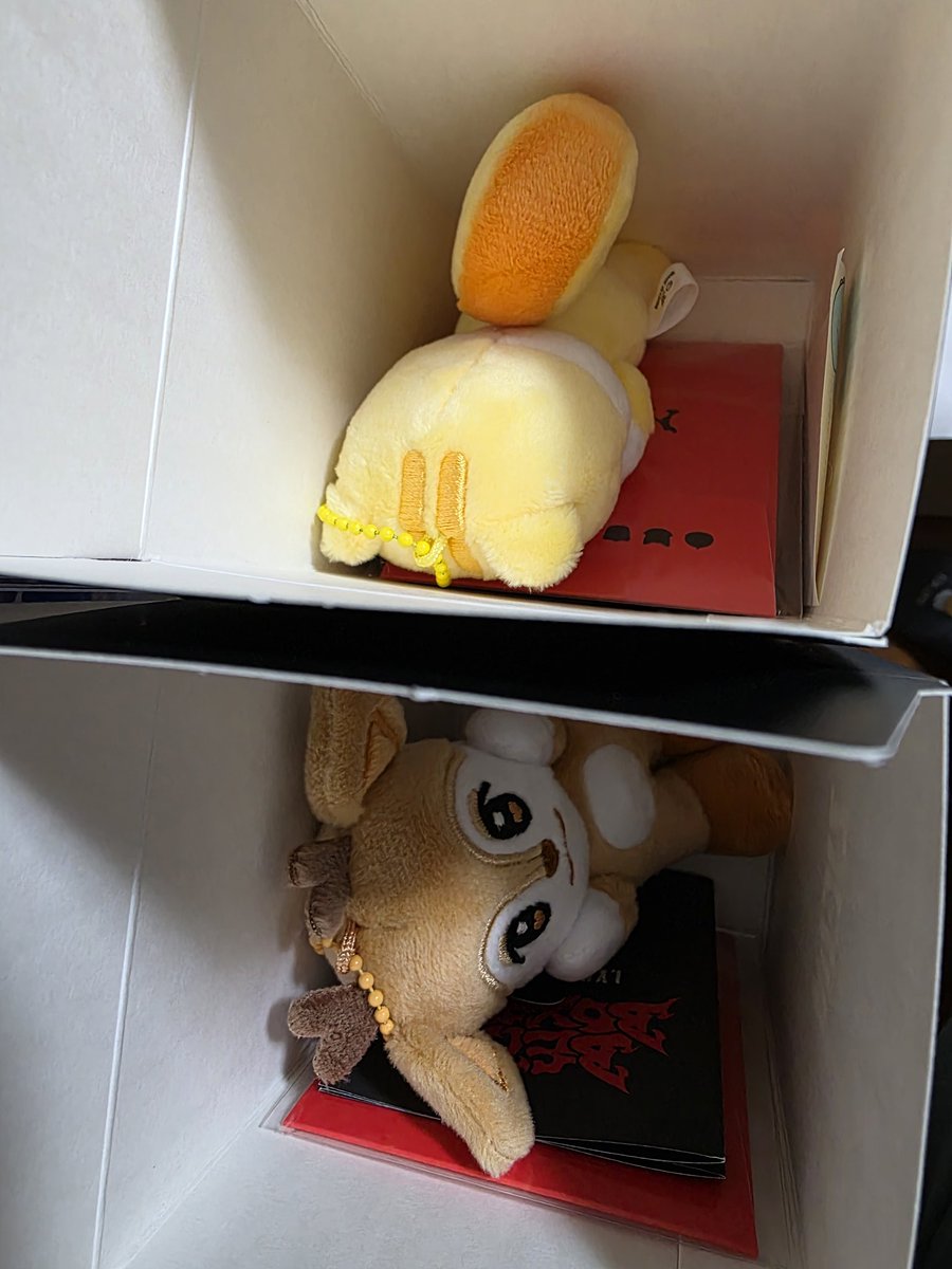 さち🐈‍⬛🥞NEX2Y🌈🌈ゆうちゃんズ (@lechat0903) / Posts / X