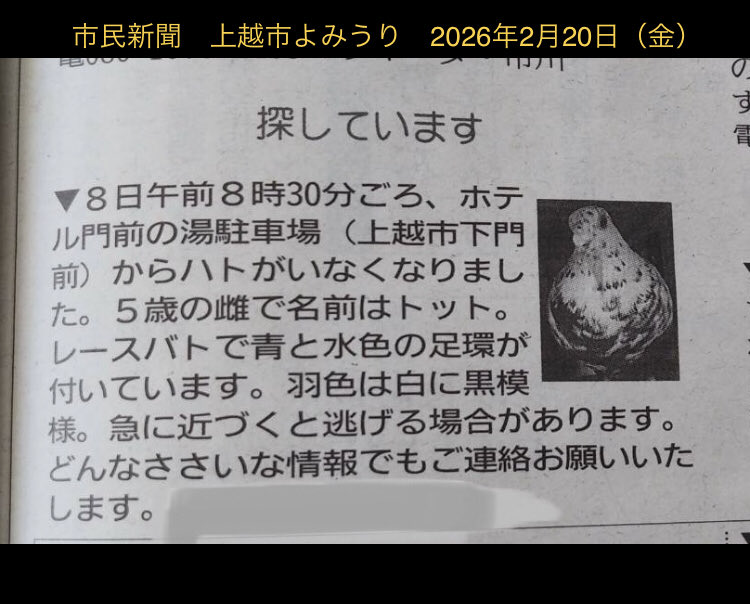 るるる (@rururutte) / Posts / X