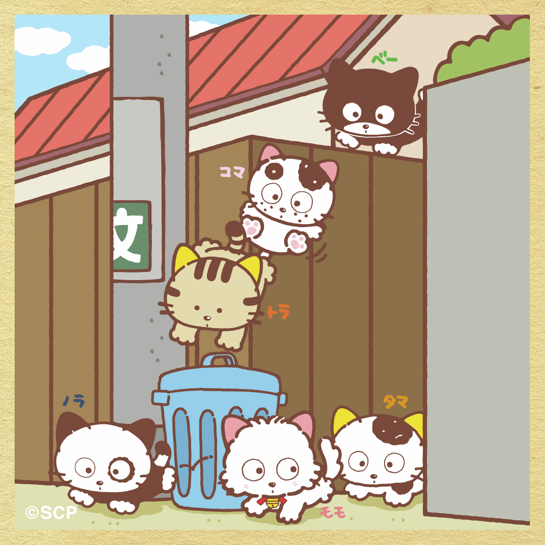 にゃん🐱（旧”S'zのLIVE-GYMにようこそ”） (@sz_bz_arigato) / Posts / X