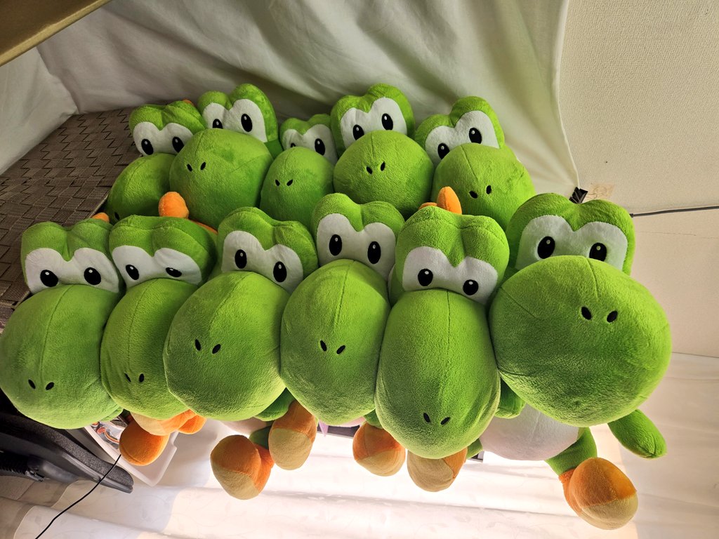 今日と明日はお休みです🙇うちはヨッシー屋さんじゃない‼️😡(笑)昨日