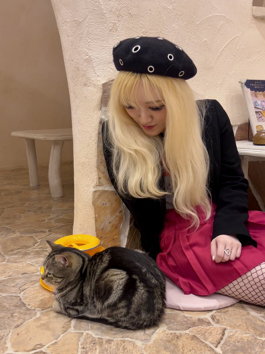 猫の日🐈‍⬛❣️ この子、かわいかったなあ💭☺️