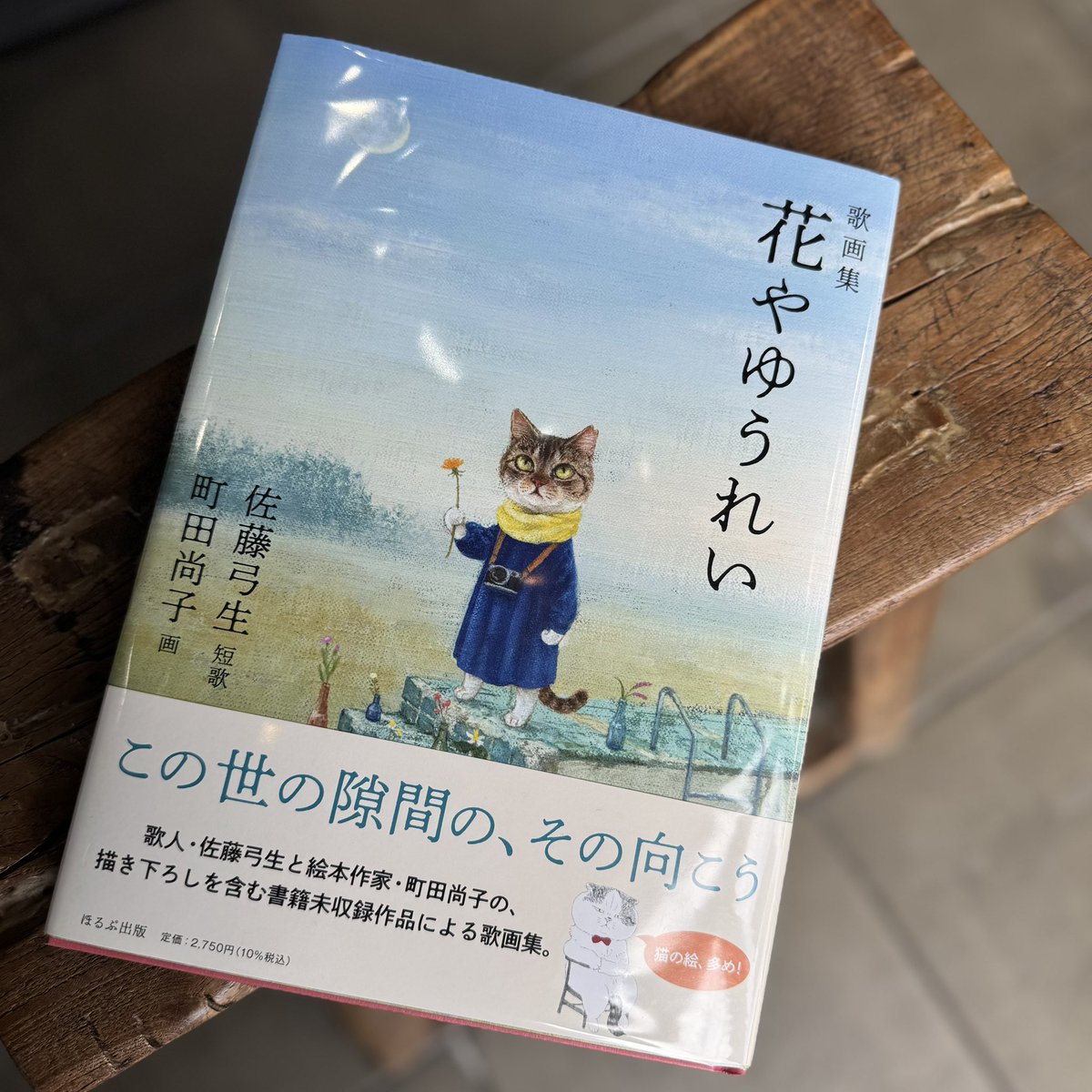 招き猫美術館 (@manekineko_art) / Posts / X