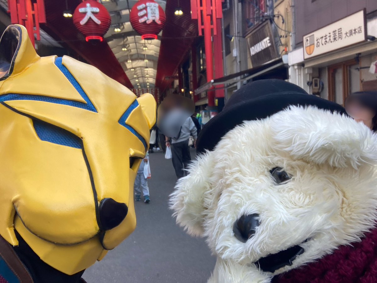 くまさん(@kuma3_temp )とついにお会いできた！