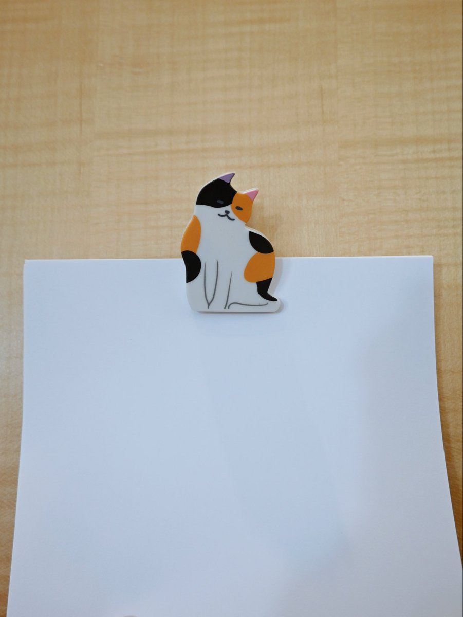 猫の日〉 本日2/22は猫の日🐈 当店でお取り扱いしている商品から、猫