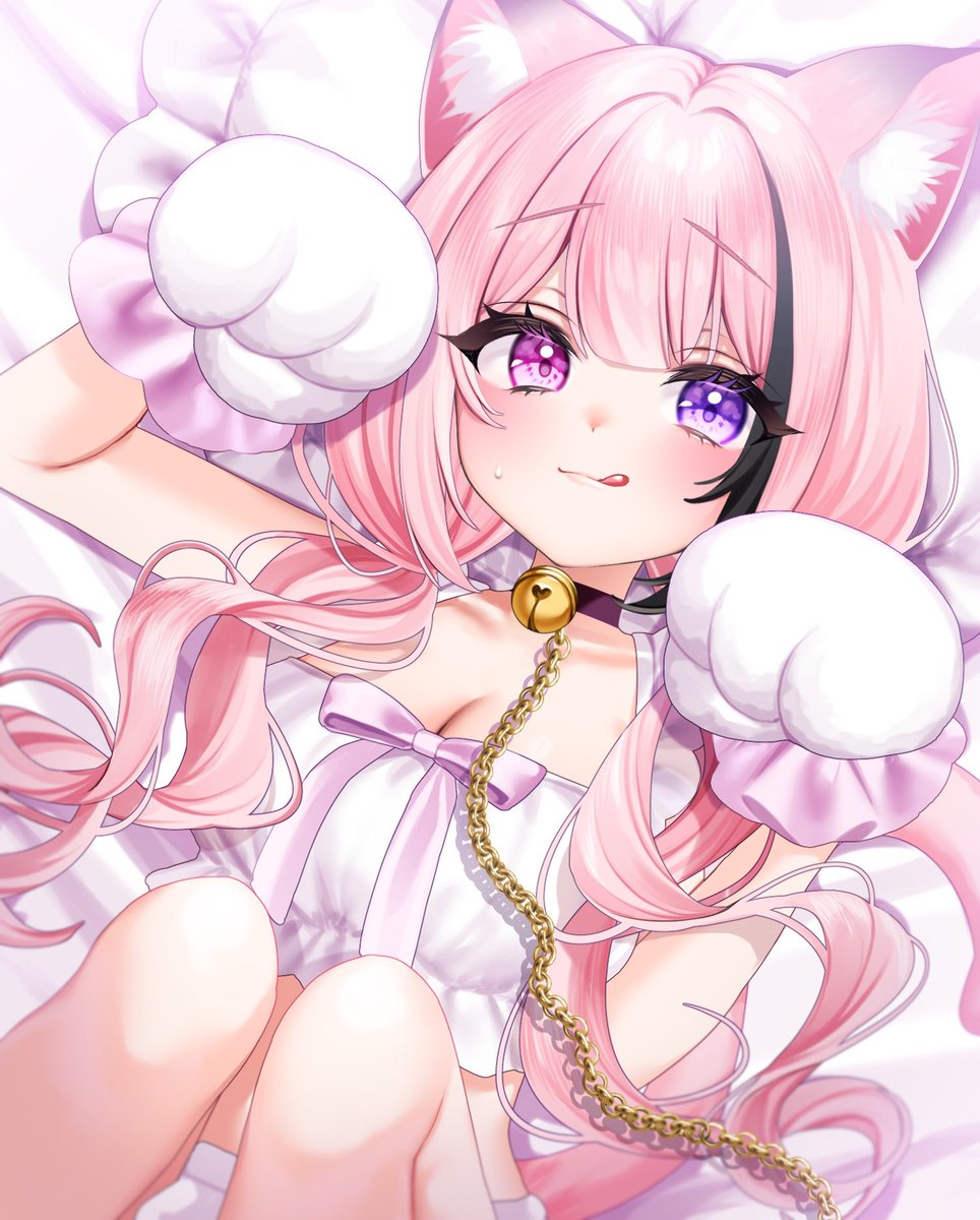 ごろにゃん🐱🐾🤍 #猫の日