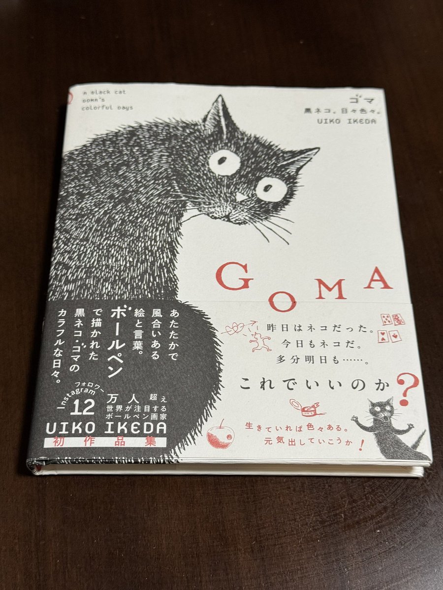 猫の日に、たまたま立ち寄った本屋さんで、黒猫の本を見つけてしまった
