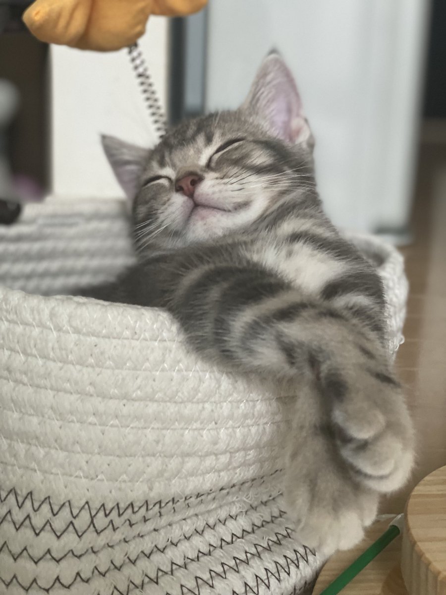 moka (@Moka0527Ramu) / Posts / X