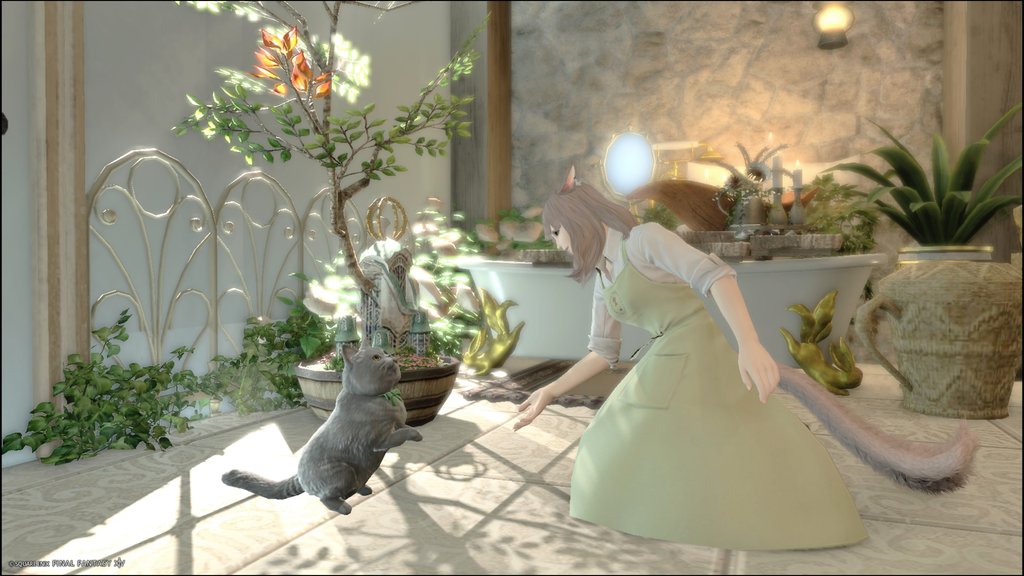 ͗🐈‍⬛⸒⸒⸒⸒🐾