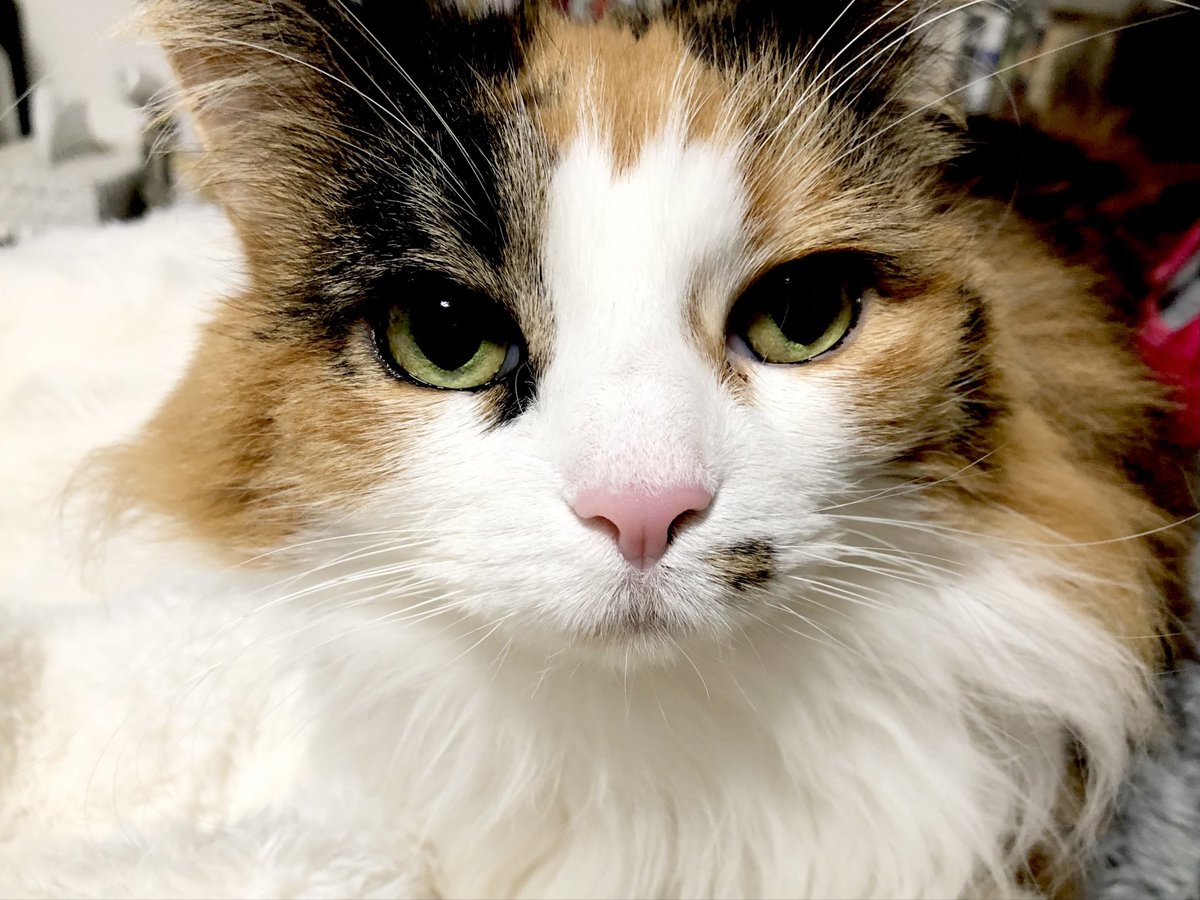 ヨッシー (@AOGSDkw5Qmr1X51) / Posts / X