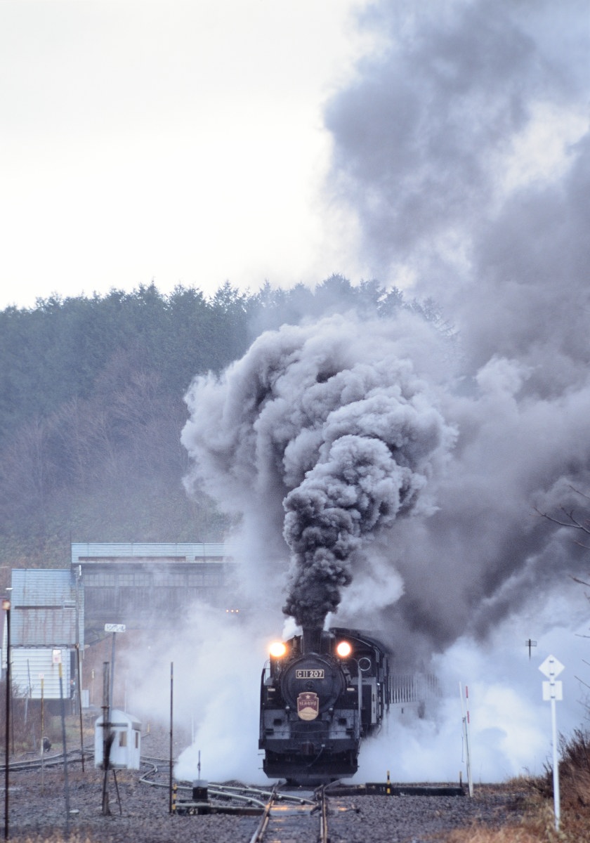 SLニセコ号 SLニセコ号 函館本線 C11207 小沢駅（FUJICHROME