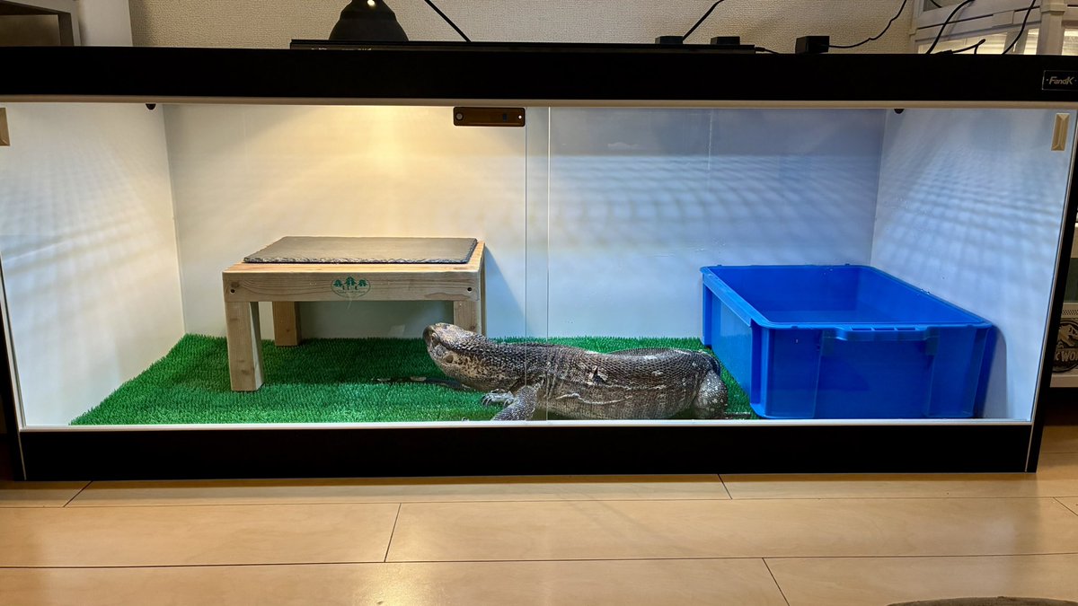 FandK 爬虫類木製ケージ (@mokusei_keiji_2) / Posts / X