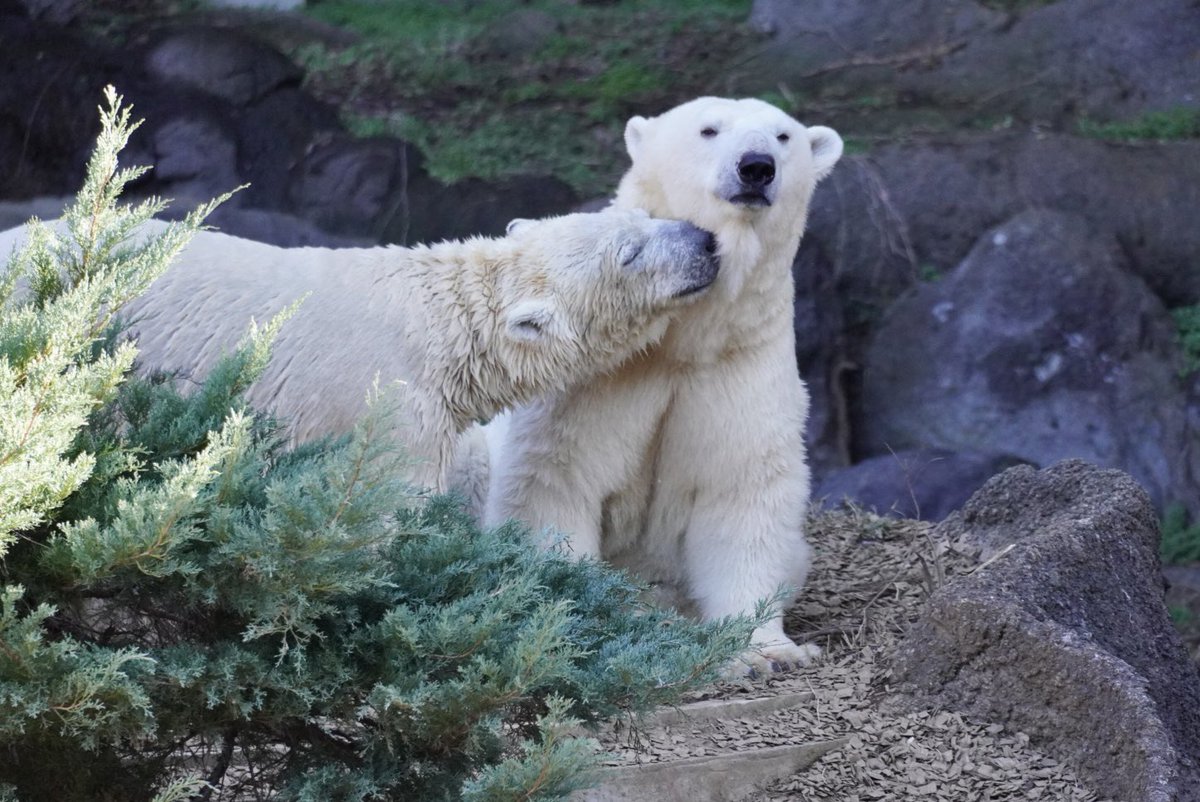 🌈KITA-57🌈 (@Jhonlennon777) / Posts / X