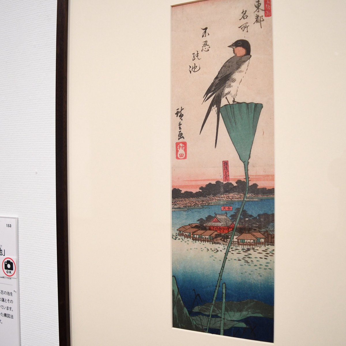 歌川広重の花鳥版画が110点も見られる❗️ 📣「ロックフェラー