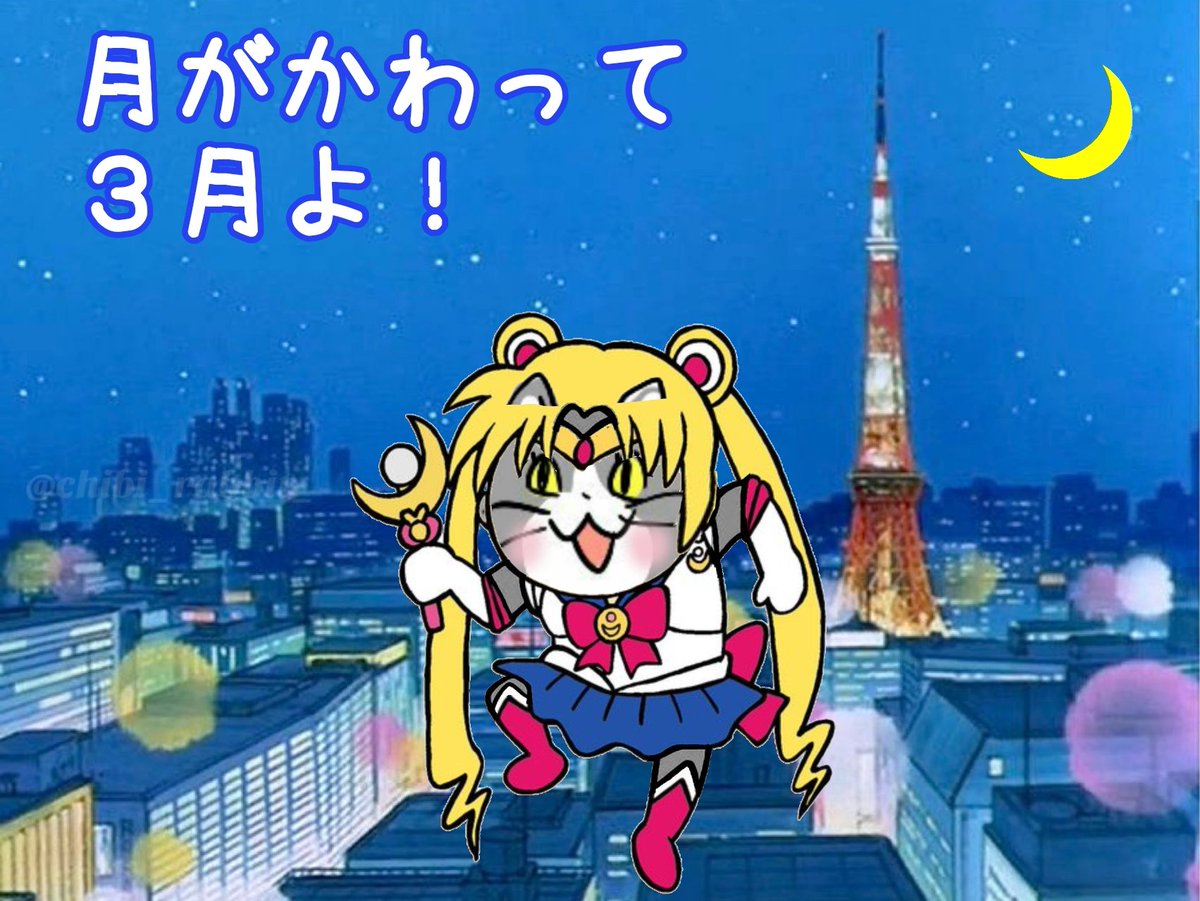 タマ子 (@4129tamako) / Posts / X