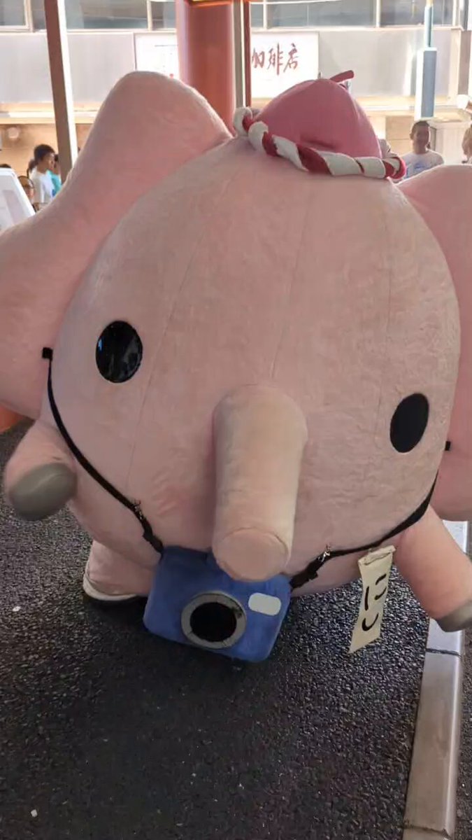 にしぞう (@nishizou_info) / Posts / X