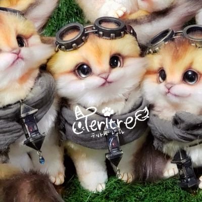 Teritre Doll/テリトルドール (@teritre_doll) / Posts / X