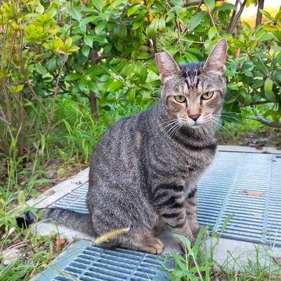 庄野真代ベストアルバムその4 『EXOTIC』 1983年11月発売 シングル7曲