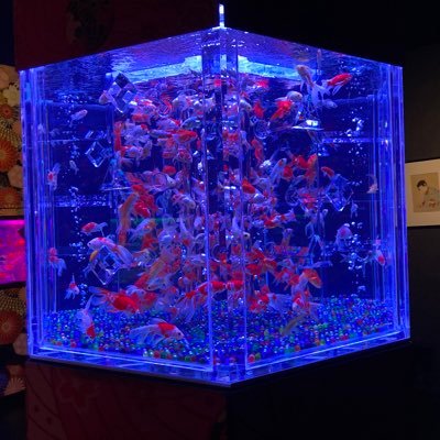 昨日は、仕事終わってからライブ 夜の部に参加しました😆 1番やり