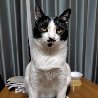 BUCK∞TICKサコッシュ到着〜👜 歌詞カードにサインなし！😂 割と大きめ