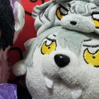 🐺🍅🦇えぷ子🦁🦐🐱 (@epuko_yessir) / Posts / X