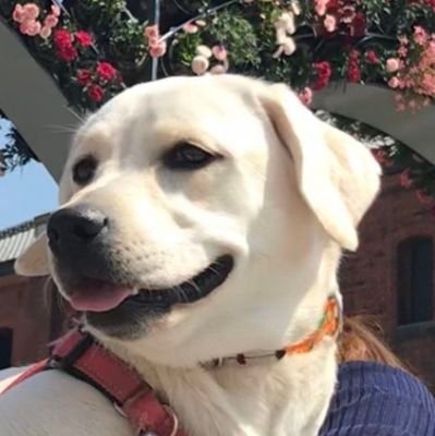 春馬ね、、いやぁ、すっげぇ楽しかったですよ‼️…』 市原隼人さん10/15