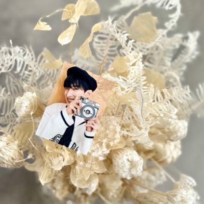 seventeen セブチ new_ 会場特典 来場者限定 weverse ユニバ トレカ