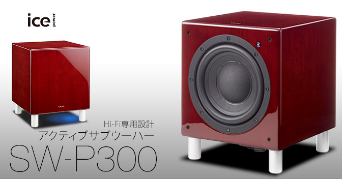 サブウーハー TEAC SW-P300 : 火呂 Photograph