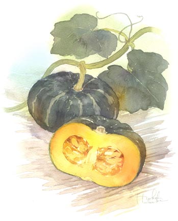 秋桜 稲 南瓜 水彩画 : はるさき水彩画blog