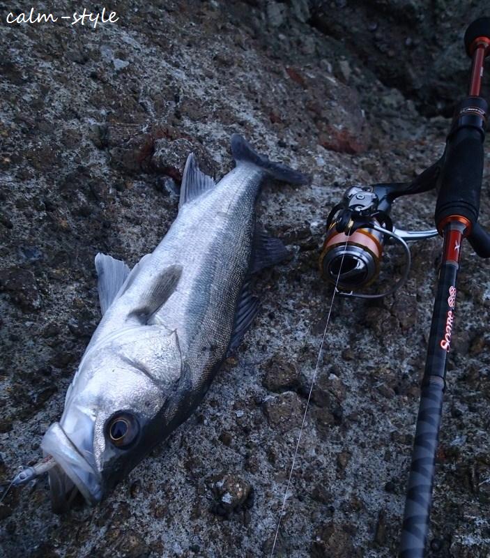 シマノ ソアレSS S706ULSインプレ : calm-style