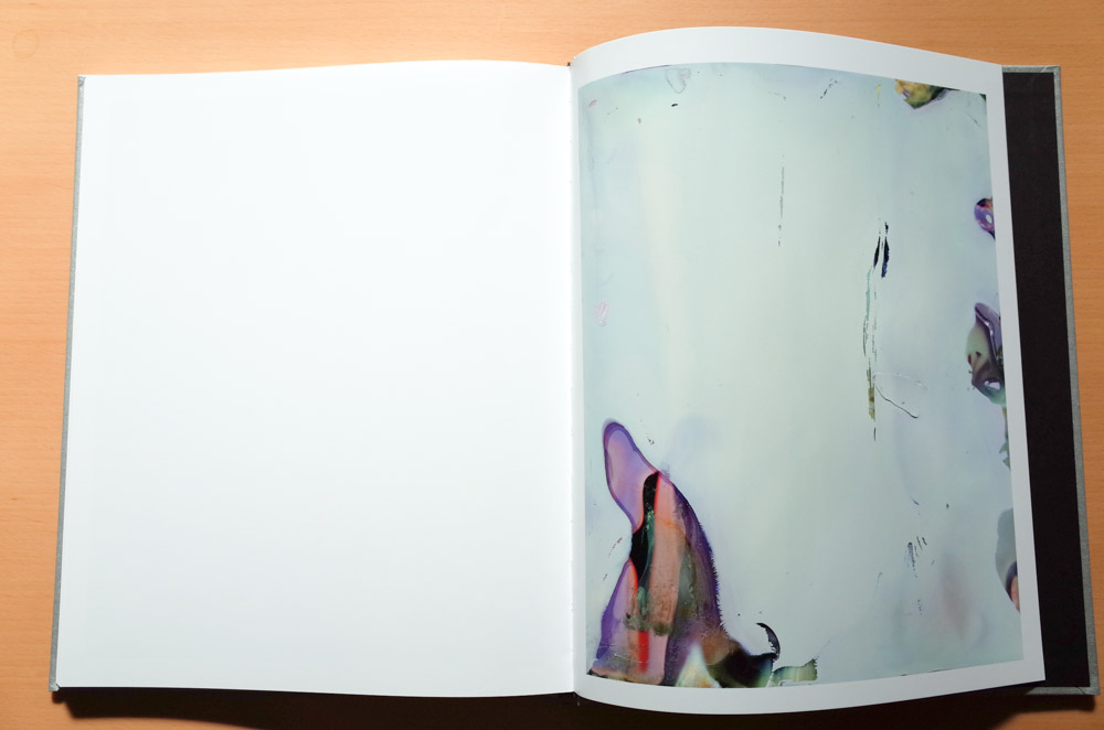 横田大輔 Daisuke Yokota 「Color Photographs」 : roshinbooks.blog