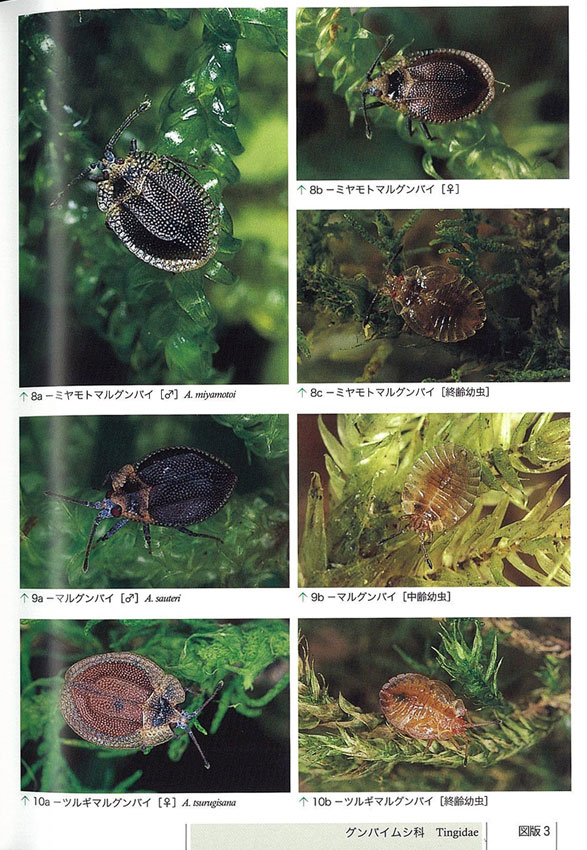 日本原色カメムシ図鑑 第3巻』が出た : 自然観察大学ブログ
