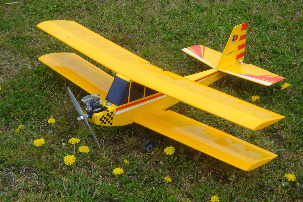 ムサシノ ハミングカブ : アルカスワールド