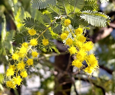 春です！ : M's Factory