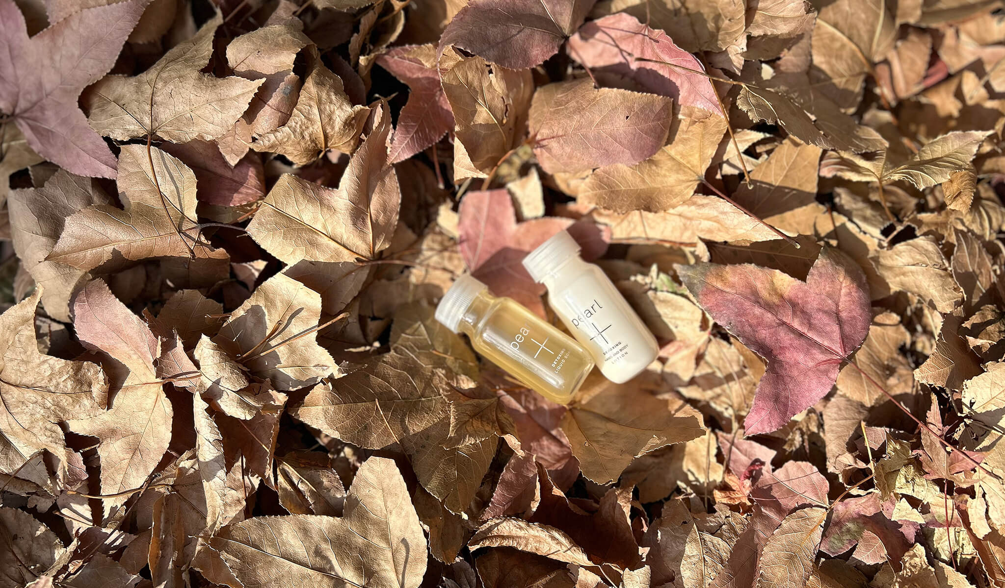 Pearl plus | パールプラス – Pearl+