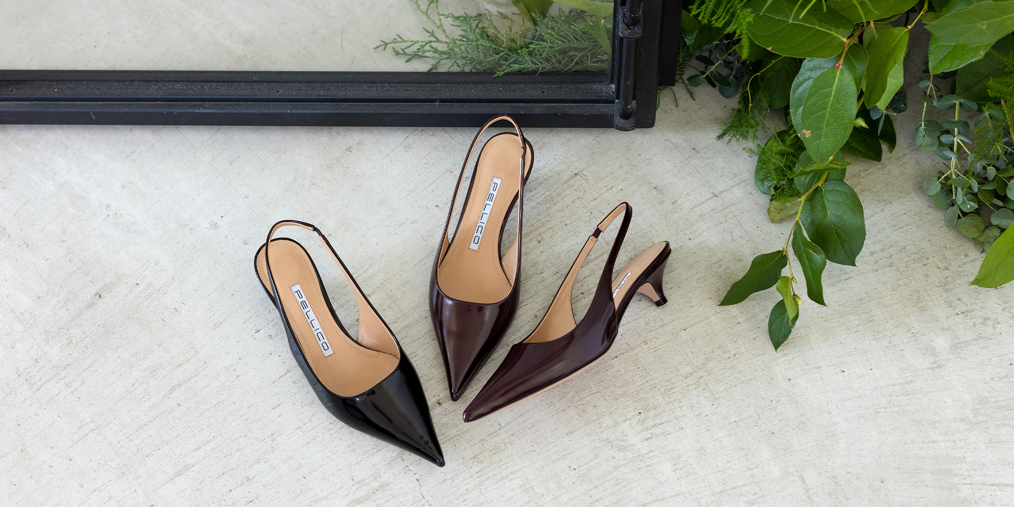 New Elegant Shoes | PELLICO｜ペリーコ